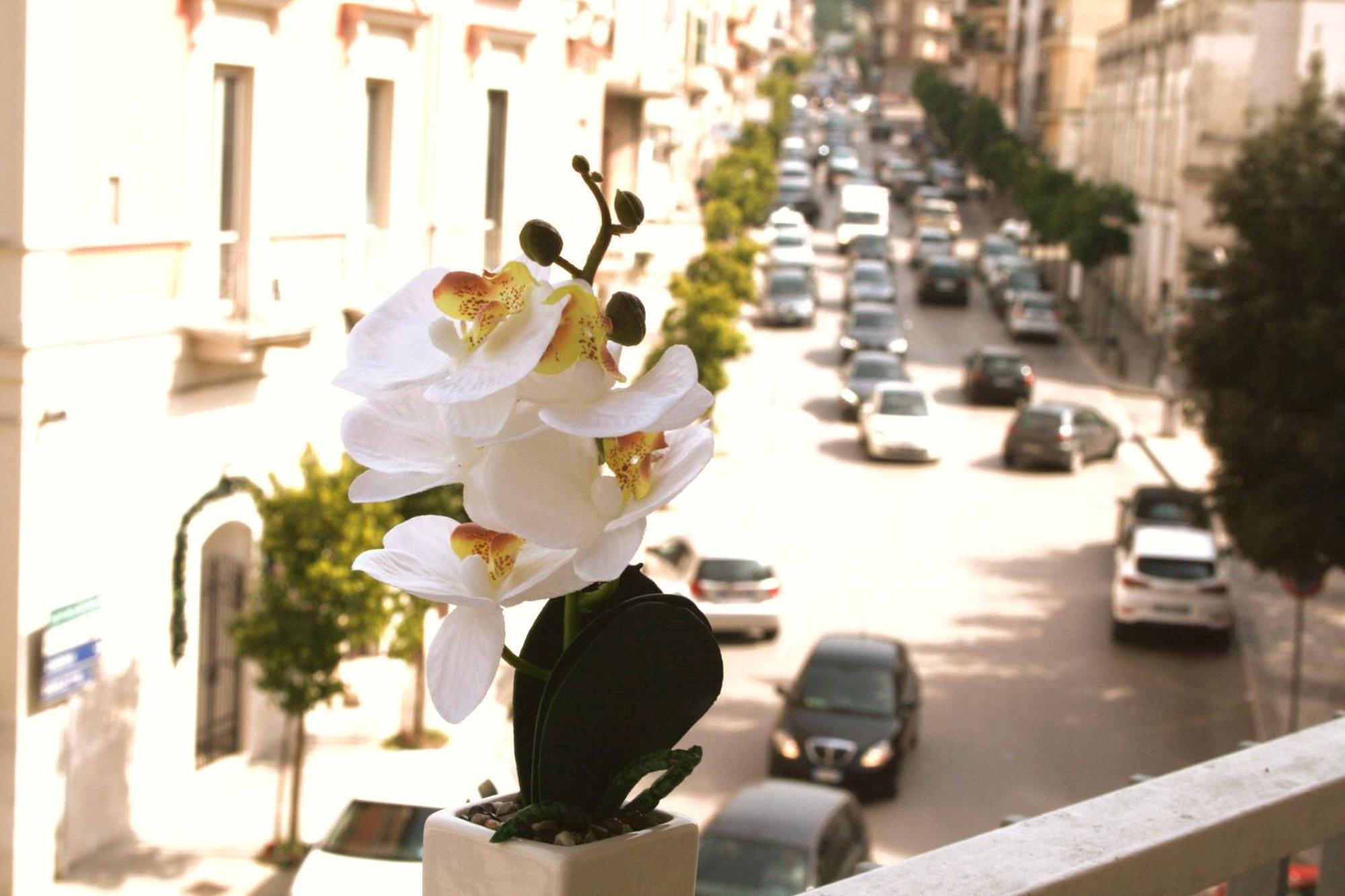 Ferienwohnung Dimore Demetra Canosa di Puglia Exterior foto